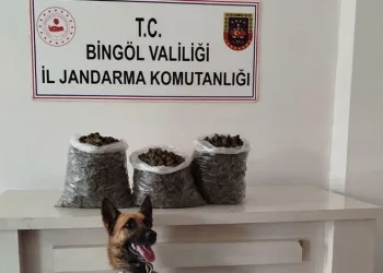 Bingöl’de 4,5 kilo esrar ele geçirildi