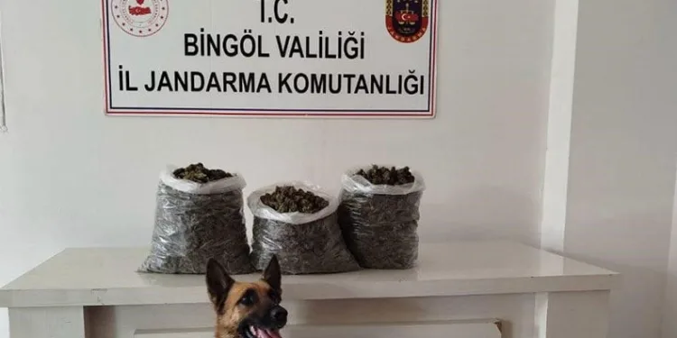 Bingöl’de 4,5 kilo esrar ele geçirildi