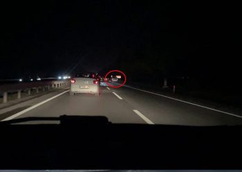 Edirne’de çiftlik yangını: Tavuklar ve arılar telef oldu