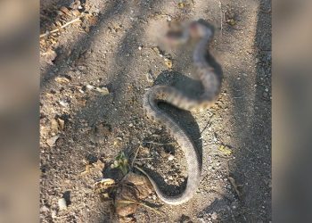 Ankara’da eğlence merkezinde bir kişi görüştüğü kadını öldürdükten sonra kendini vurdu