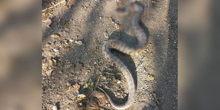 Ankara’da eğlence merkezinde bir kişi görüştüğü kadını öldürdükten sonra kendini vurdu