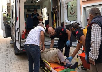 Edirne’de çiftlik yangını: Tavuklar ve arılar telef oldu