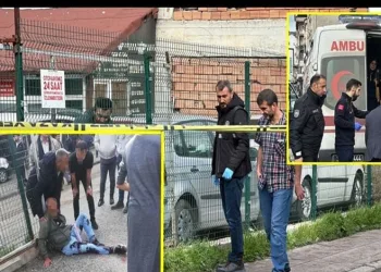 Sinop’ta kaçak kazı yapan şahıslara suçüstü: 3 gözaltı