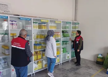 Mersin Bozyazı’da orman yangını büyümeden söndürüldü