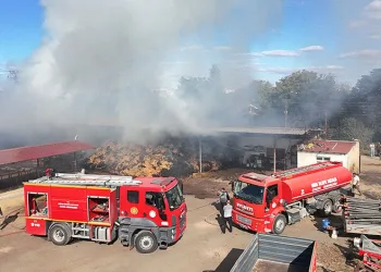 Edirne’de çiftlik yangını: Samanlar ve çeltikler küle döndü