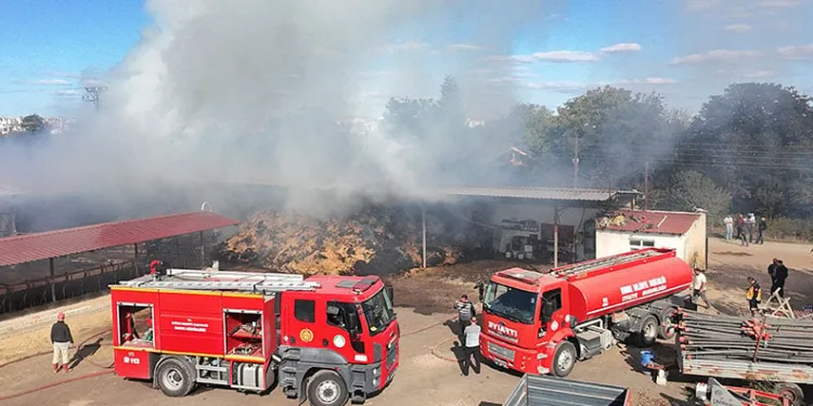 Edirne’de çiftlik yangını: Samanlar ve çeltikler küle döndü
