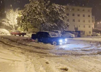 Karısını ve kayınbabasını vurma anı