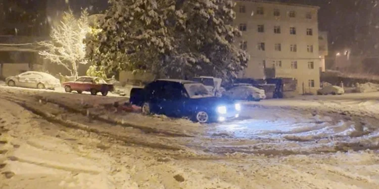 Karısını ve kayınbabasını vurma anı