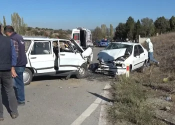 Çiftçinin zeytinine jandarma koruması