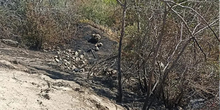 Eskişehir’de kesinleşmiş hapis cezası bulunan FETÖ/PDY üyesi yakalandı