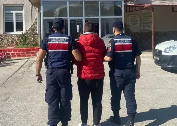 Manavgat’ta kamyonet ile otomobil çarpıştı: 2 yaralı