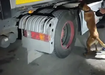 Tırın içine zulalanmış 730 gram narkotik madde ele geçirildi