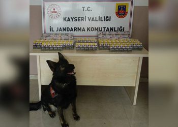 Tır refüje düştü, patatesler yola saçıldı: 1 yaralı