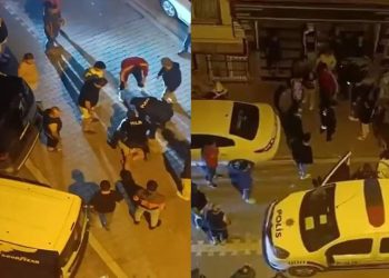 Edirne’de çiftlik yangını: Tavuklar ve arılar telef oldu