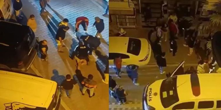 Edirne’de çiftlik yangını: Tavuklar ve arılar telef oldu