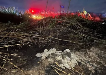 Tırın içine zulalanmış 730 gram narkotik madde ele geçirildi