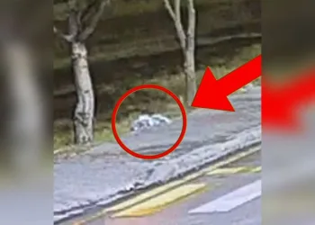 Sebze almaya geldiği toptancı halinde hayatını kaybetti