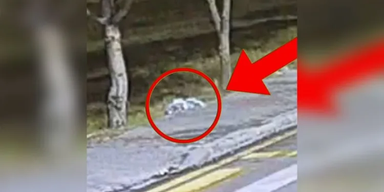 Sebze almaya geldiği toptancı halinde hayatını kaybetti