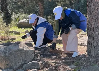 Ormanlar karış karış temizledi