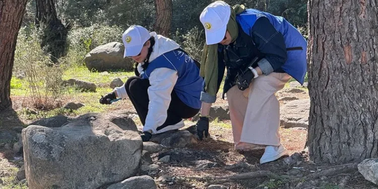 Ormanlar karış karış temizledi
