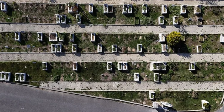 Sungurlu’da deveci armudu hasadı başladı