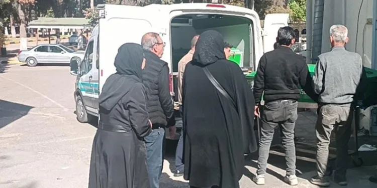 Çiftçinin zeytinine jandarma koruması