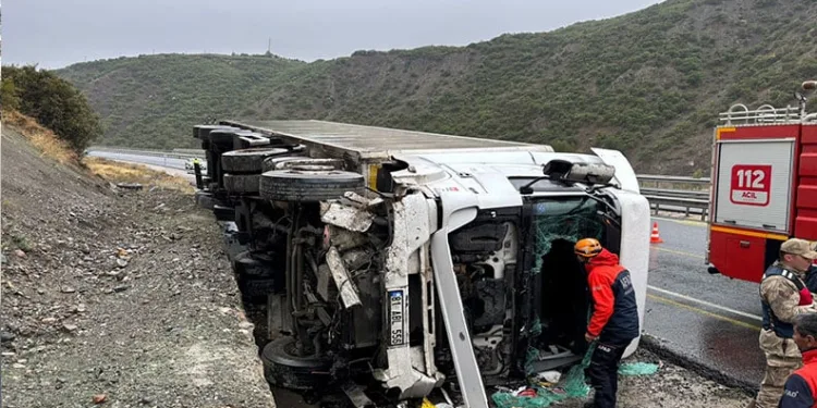 Sinop’ta kaçak kazı yapan şahıslara suçüstü: 3 gözaltı