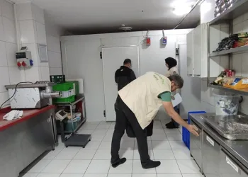 Otomobil ve motosiklet çalan hırsız Viranşehir’de yakalandı