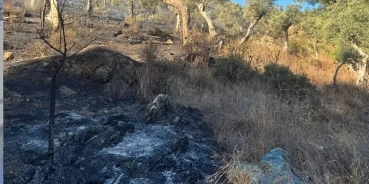 FETÖ’nün sözde “Bölge Talebe Mesulü” yakalandı: 2 gözaltı
