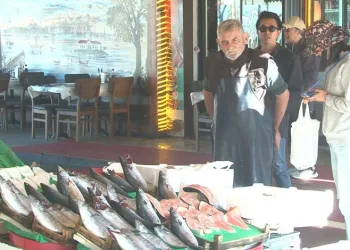 Balık tezgahlarında son 3-4 senenin en bol palamut sezonu yaşanıyor