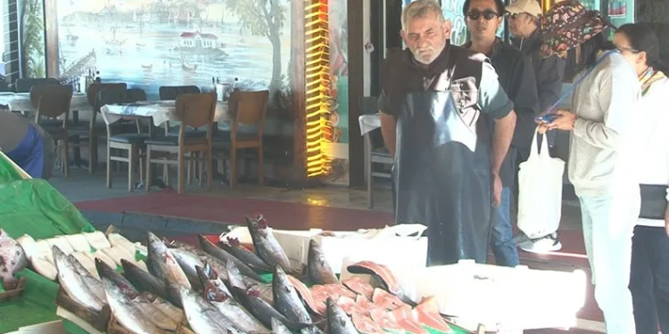 Balık tezgahlarında son 3-4 senenin en bol palamut sezonu yaşanıyor