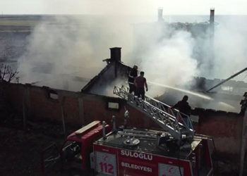 Edirne’de çiftlik yangını: Tavuklar ve arılar telef oldu