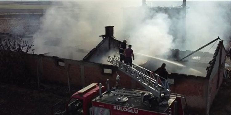 Edirne’de çiftlik yangını: Tavuklar ve arılar telef oldu