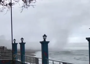 Vali yardımcısının oğlunun katil zanlısı dolandırıcılık çetesinin üyesi çıktı