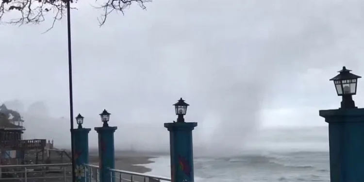 Vali yardımcısının oğlunun katil zanlısı dolandırıcılık çetesinin üyesi çıktı