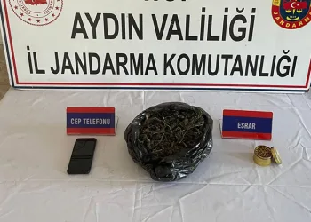 Otomobil ve motosiklet çalan hırsız Viranşehir’de yakalandı