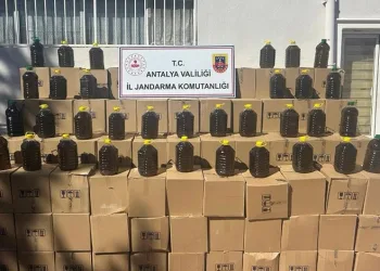 Uyuşturucu tacirleri ‘Mia’nın burnuna takıldı