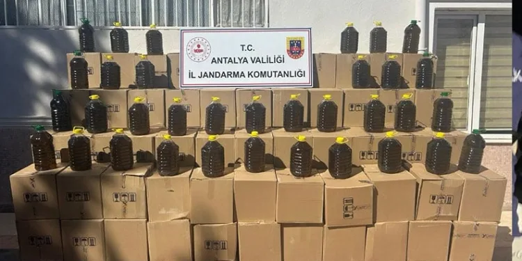 Uyuşturucu tacirleri ‘Mia’nın burnuna takıldı