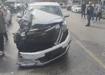 Ormanlar karış karış temizledi