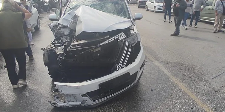 Ormanlar karış karış temizledi