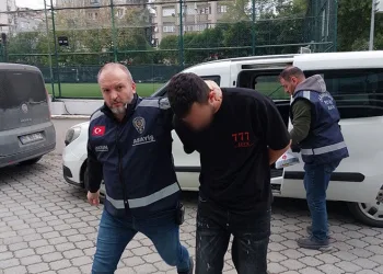 Edirne’de çiftlik yangını: Samanlar ve çeltikler küle döndü