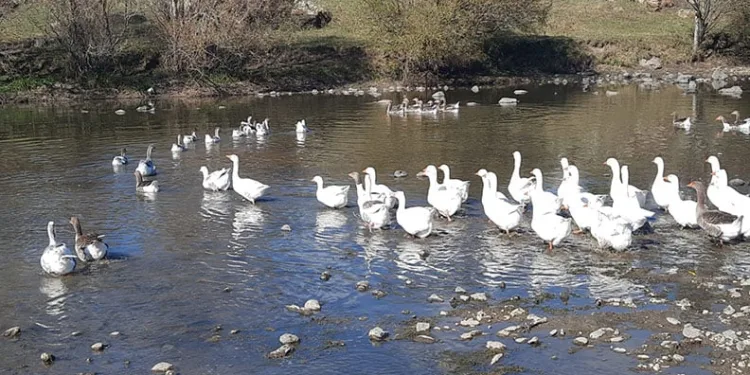 Başkan Aras’tan Yeşilay Muğla Şubesine ziyaret