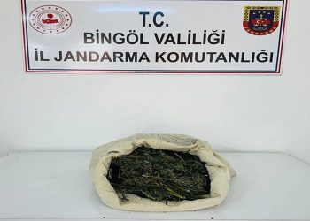 Edirne’de çiftlik yangını: Tavuklar ve arılar telef oldu