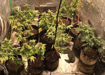 Samsun’da apartman dairesinde yangın