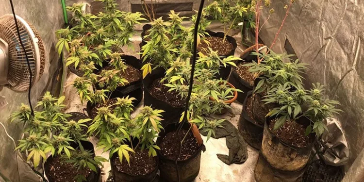 Samsun’da apartman dairesinde yangın