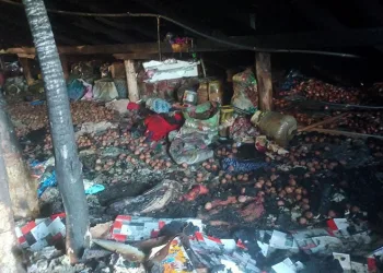 Yenidoğan Çetesi hakkında iddianame hazırlandı