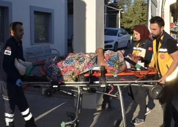 Edirne’de çiftlik yangını: Samanlar ve çeltikler küle döndü