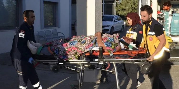 Edirne’de çiftlik yangını: Samanlar ve çeltikler küle döndü