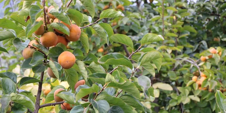 Öğrenciler afette yapması gerekenleri öğrendi