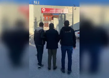 Çiftçinin zeytinine jandarma koruması